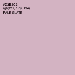 #D3B3C2 - Pale Slate Color Image